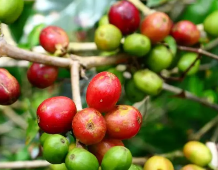 1697439538480221.png 微信截圖_20230818104000.png