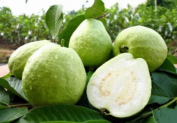 1697439703262317.png 微信截圖_20230818105720.png