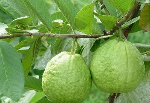 1697439931833000.png 微信截圖_20230821113648.png