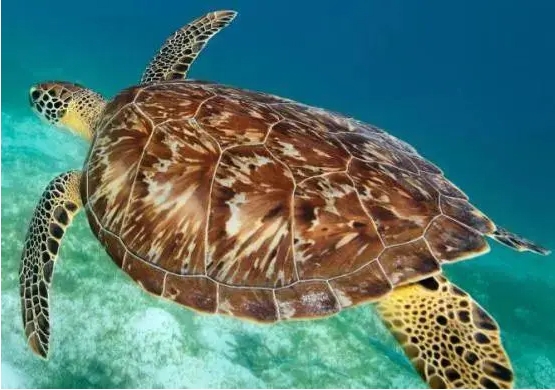 1715329074703219.png 微信截圖_20240510151645.png