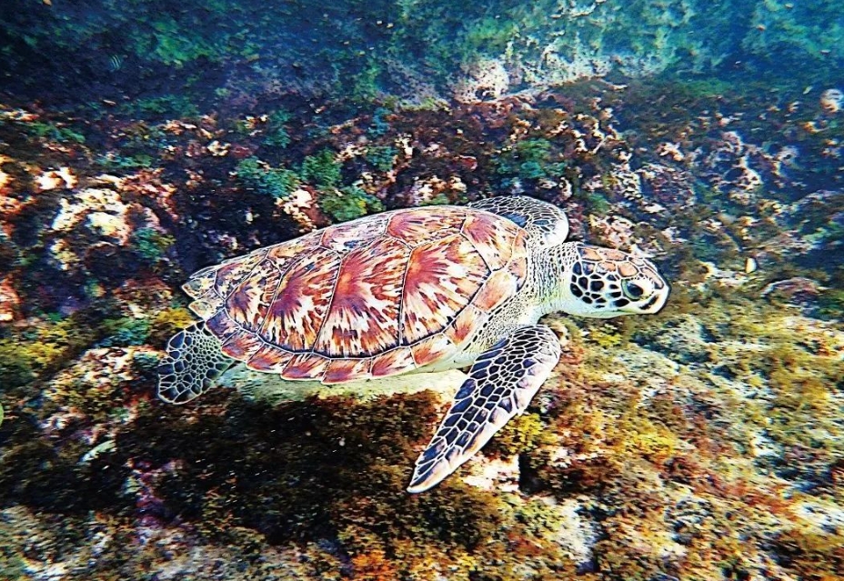 1715329088365830.png 微信截圖_20240510152037.png