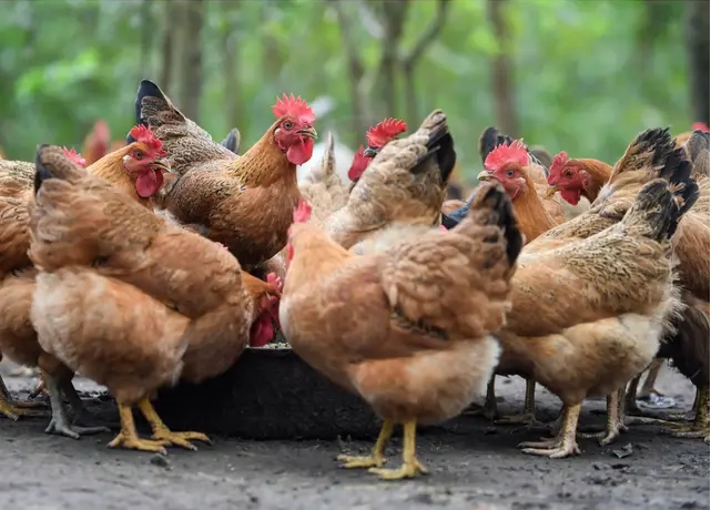 1715407897737920.png 微信截圖_20240511111430.png