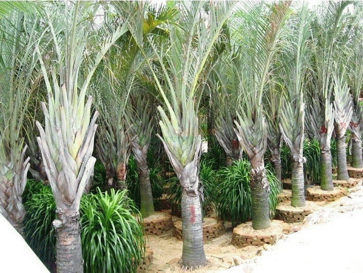 1727165933505114.png 微信截圖_20240923114646.png