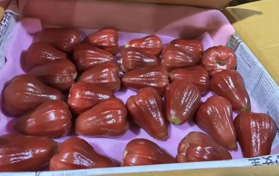 1730703657470062.png 微信截圖_20241101151142.png