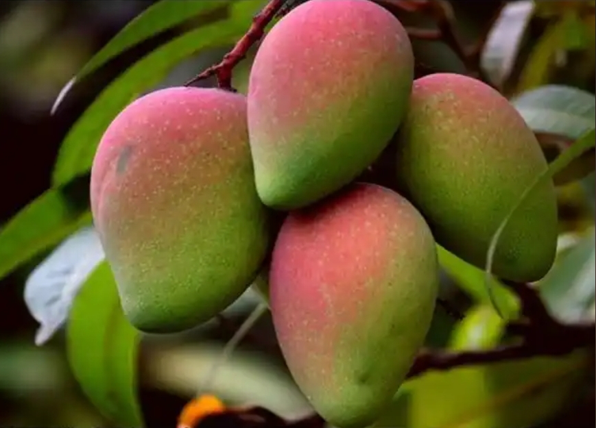 1738999642316550.png 微信截圖_20250207111935.png