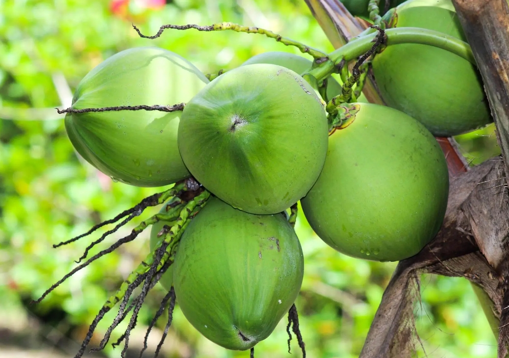 1739344299107461.png 微信截圖_20250212111213.png