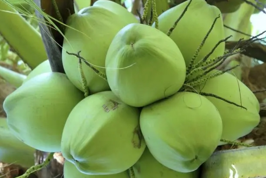 1739521318794043.png 微信截圖_20250214111753.png