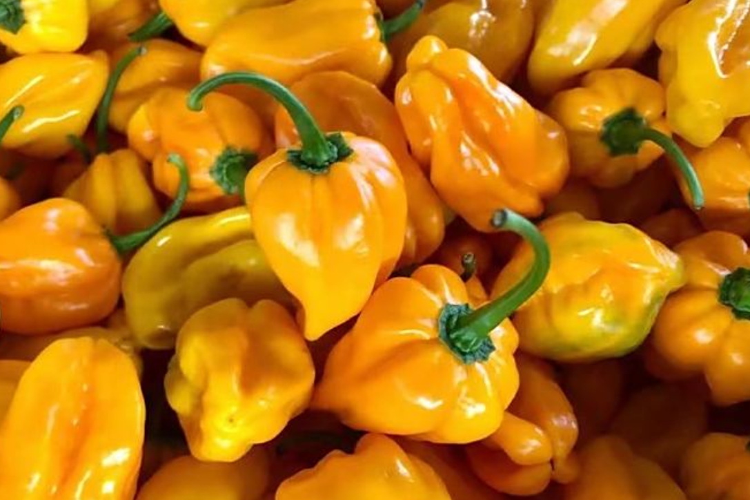 1741682228308854.png 微信截圖_20250311152318.png