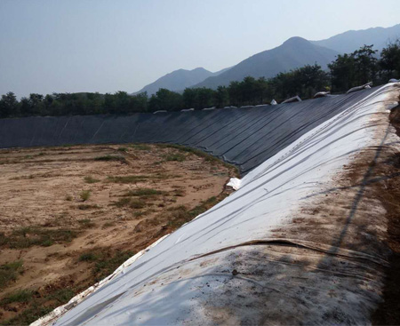 兩布一膜土工布案例