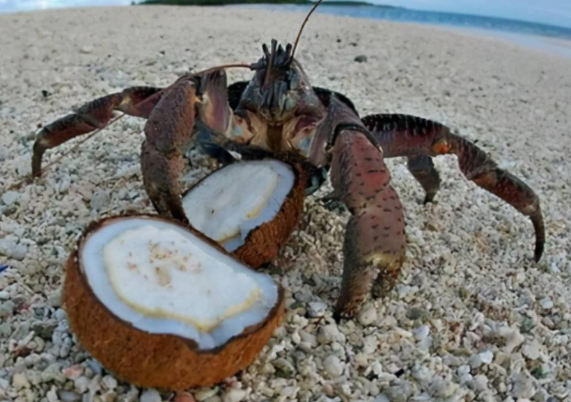 1697437630368932.png 微信截圖_20230731101628.png