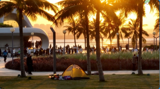 1697440128332253.png 雲動.png