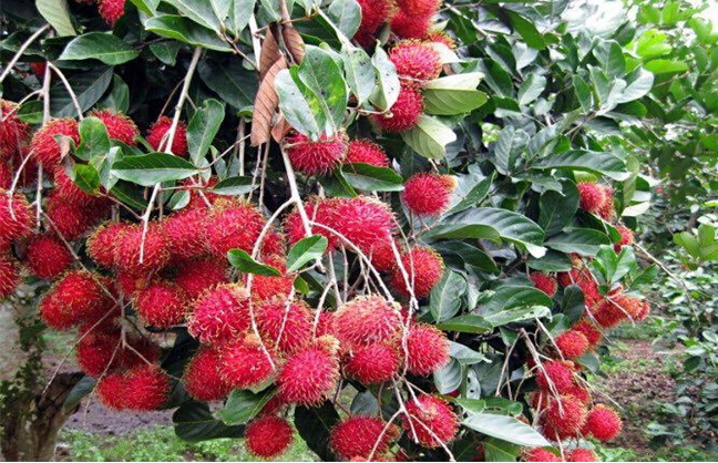 1697440243777888.png 微信截圖_20230823151625.png