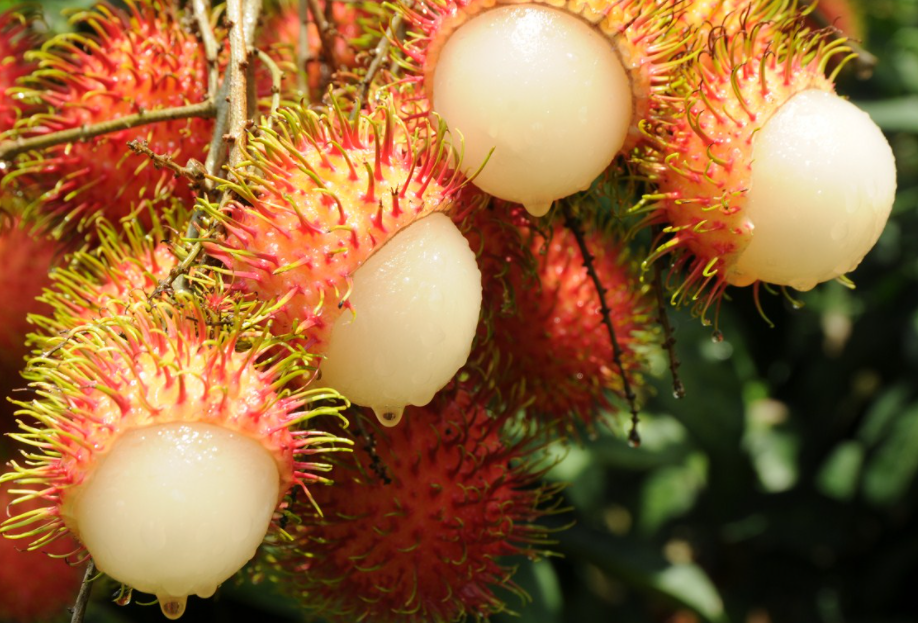 1697440252770296.png 微信截圖_20230823151412.png