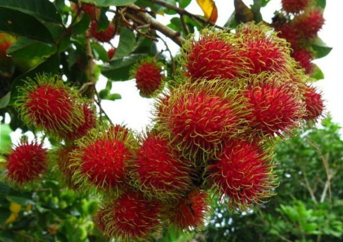 1697440268585858.png 微信截圖_20230823151528.png