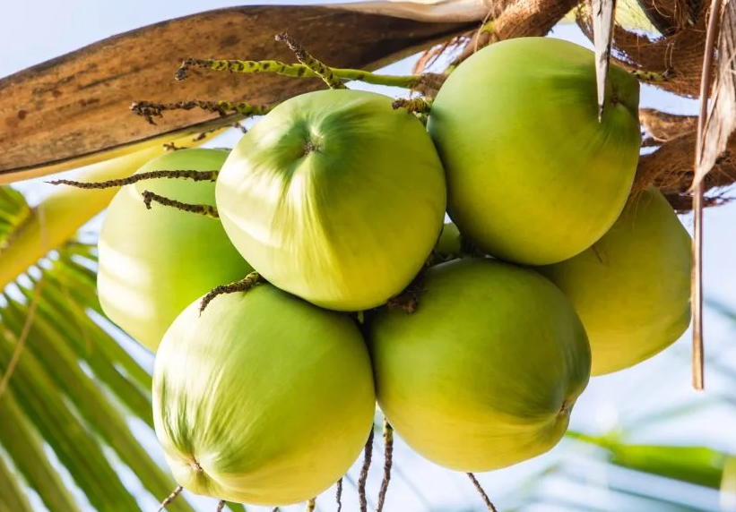 1697440393402637.png 微信截圖_20230817143337.png