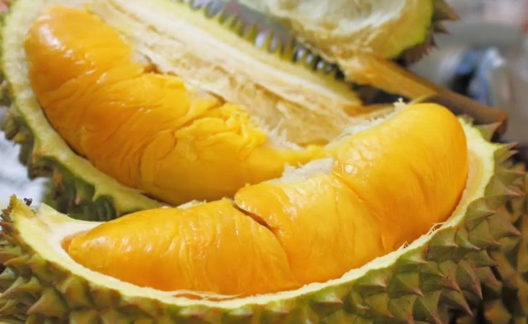 1697440402372192.png 微信截(jié)圖_20230824150322.png