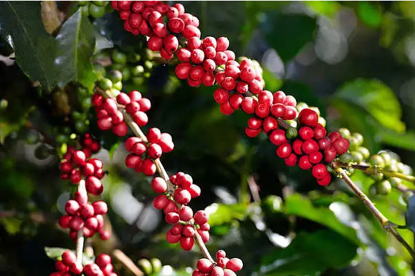 1697440506391155.png 微信截圖_20230818103858.png