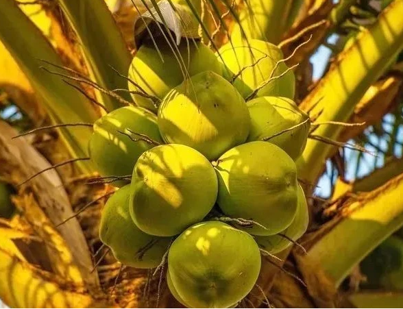 1697440846531255.png 微(wēi)信(xìn)截圖(tú)_20230904161324.png