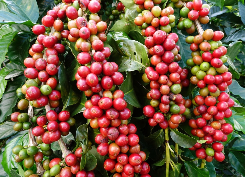 1697442244166977.png 微信截圖_20230926160604.png