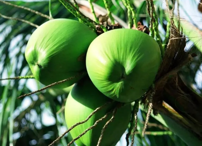 1697792120720128.png 微信截圖_20231020144836.png