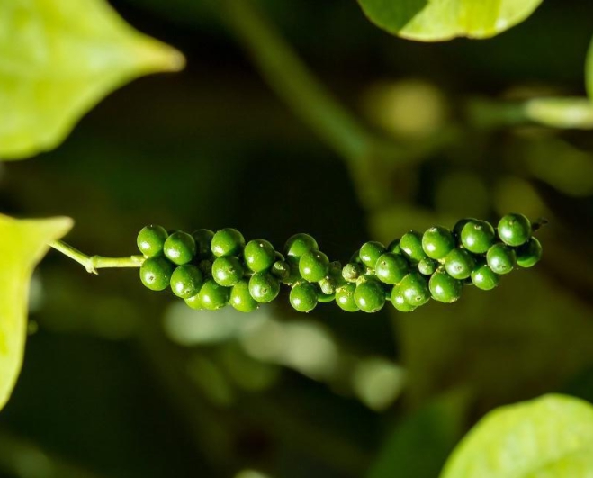 1698738854125112.png 微信截(jié)圖(tú)_20231030163732.png