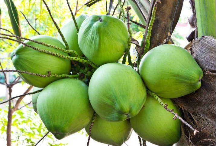 1699517265643354.png 微信截圖_20231101145023.png