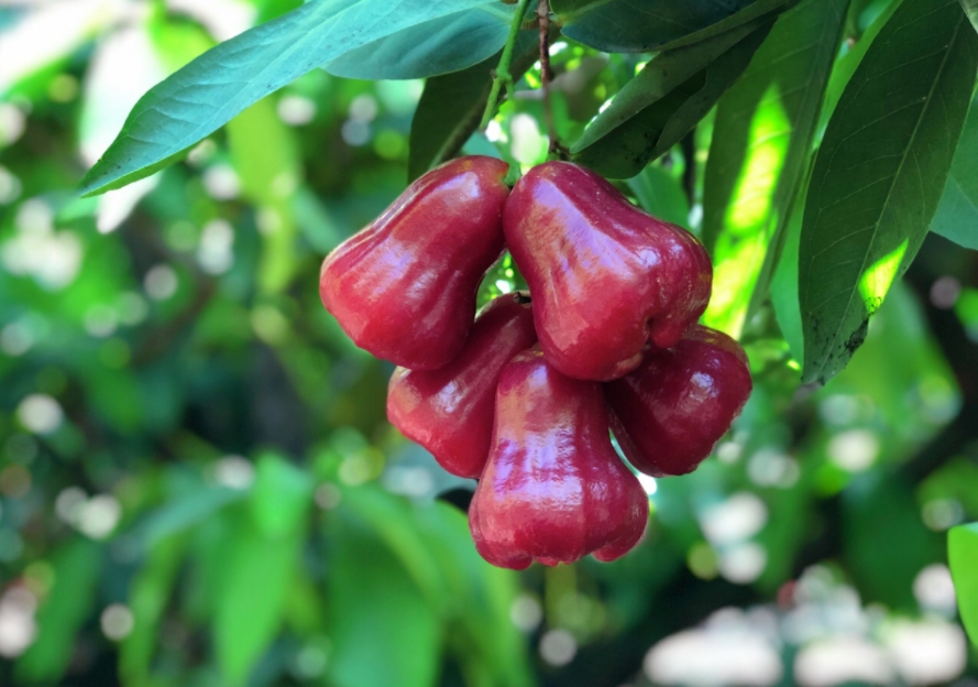 1699517290504184.png 微信截圖_20231101145332.png