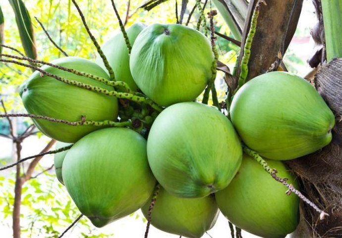 1699857858560360.png 微(wēi)信截圖_20231108153757.png