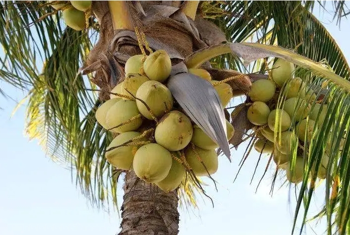 1700203611765316.png 微(wēi)信截圖_20231115152354.png