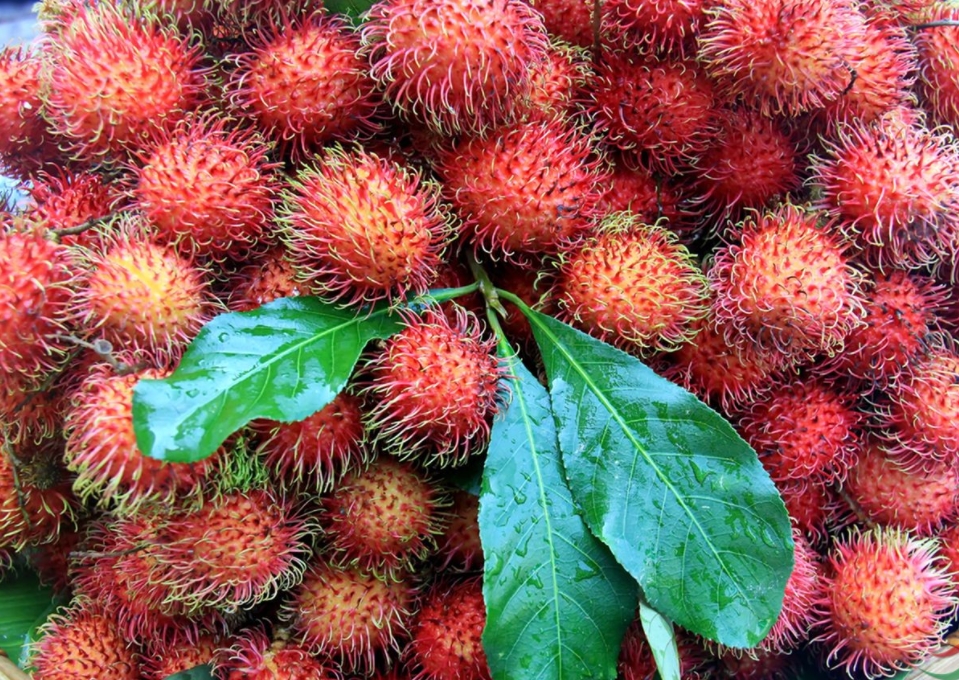 1701929977539034.png 微信截圖_20231204162114.png