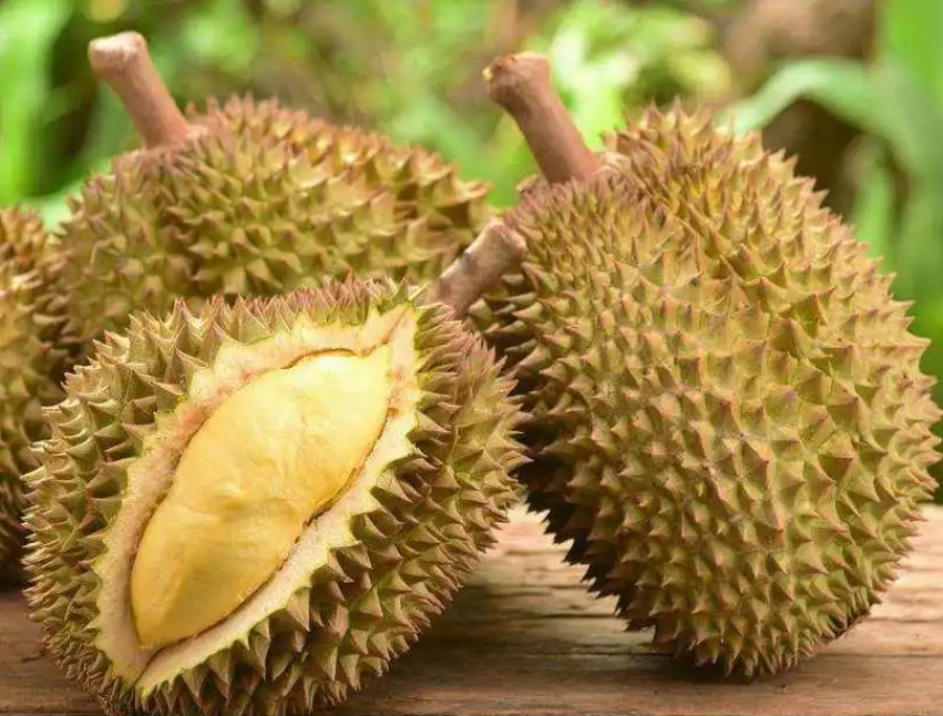 1703058642553530.png 微信截圖_20231211114214.png