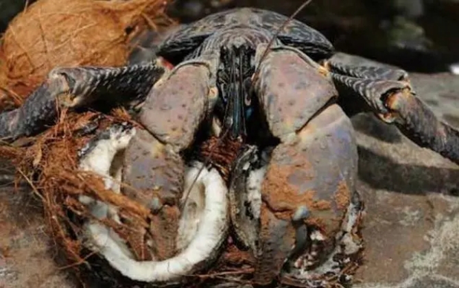 1703473569610695.png 微信截圖_20231220153449.png