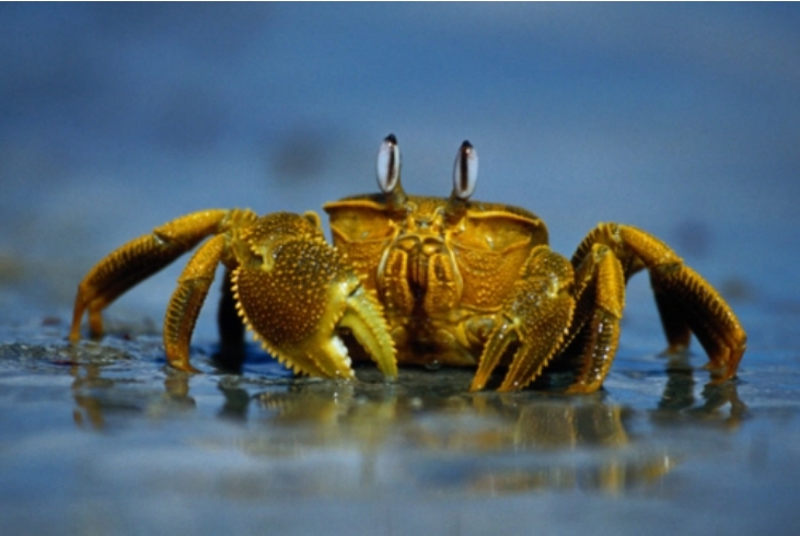 1704435275425349.png 微信截(jié)圖_20240103162935.png