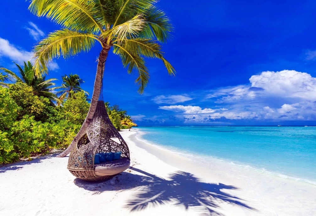 1704789669425733.png 微信截圖(tú)_20240105145343.png