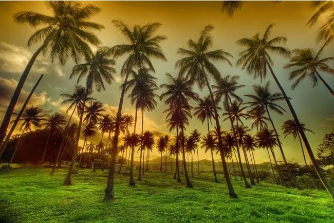 1705652993366039.png 微信截圖(tú)_20240115170159.png