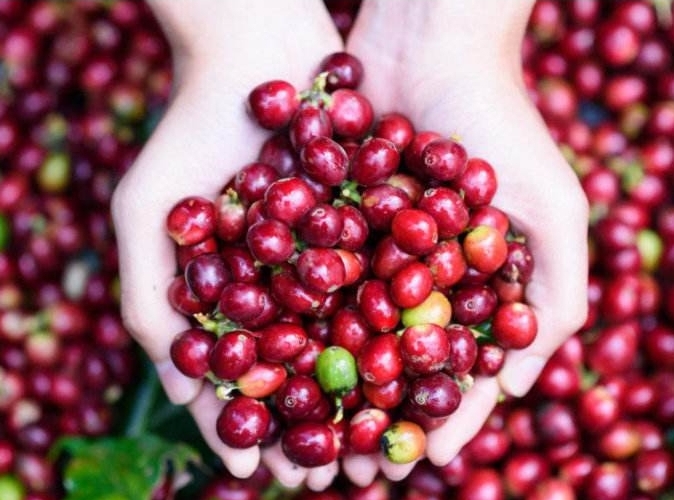 1707029533510823.png 微信(xìn)截圖_20240131162808.png