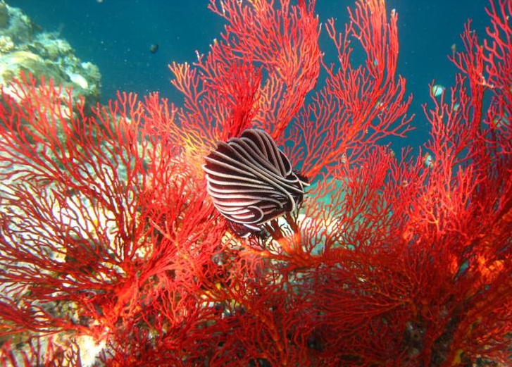 1710831502586349.png 微信截圖_20240319141453.png