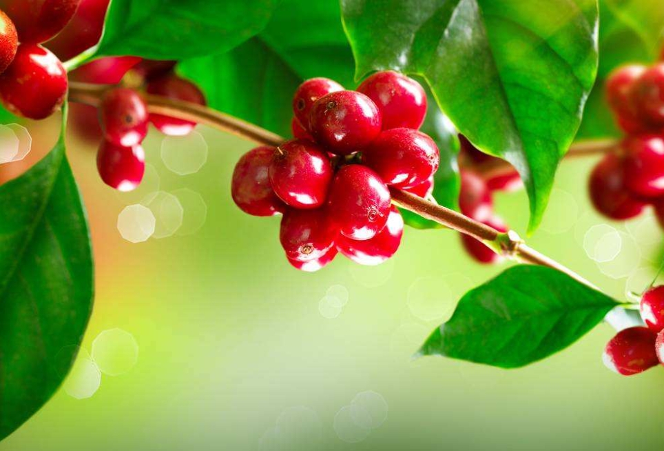 1711011348145128.png 微信截圖_20240321143008.png