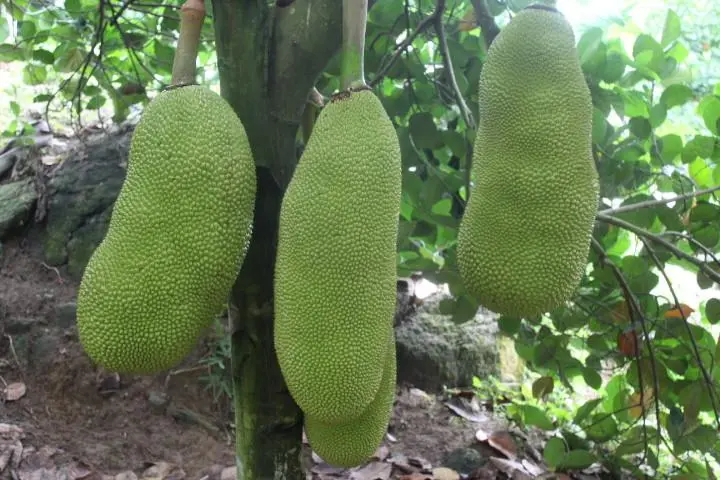 1711076164347627.png 微信截圖_20240322101604.png