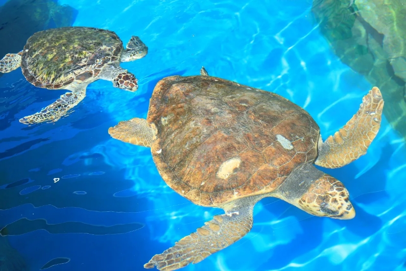 1712905058680722.png 微信截圖_20240208103904.png