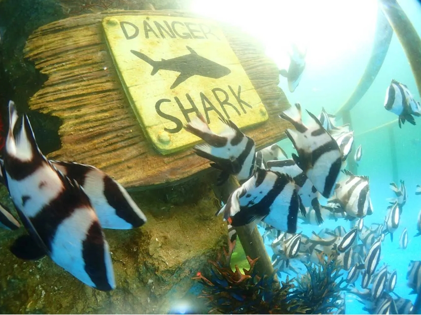 1712905064609739.png 微信截圖(tú)_20240208104259.png