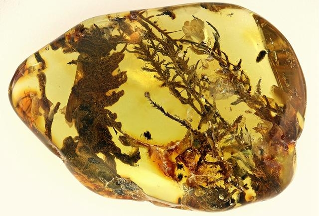 1714373529902094.png 微信截圖(tú)_20240429110733.png