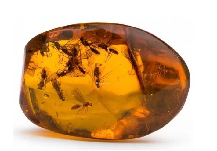 1714373539580462.png 微信截圖_20240429110949.png