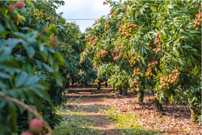 1715843571196481.png 微信(xìn)截圖_20240515154046.png