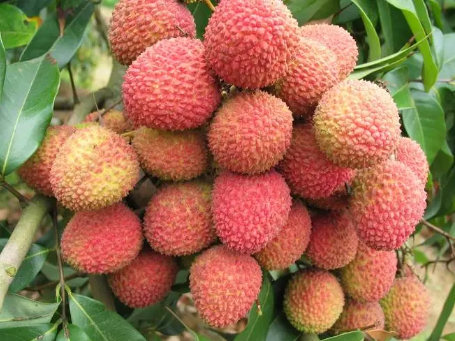 1715930566926973.png 微信截(jié)圖_20240517145535.png