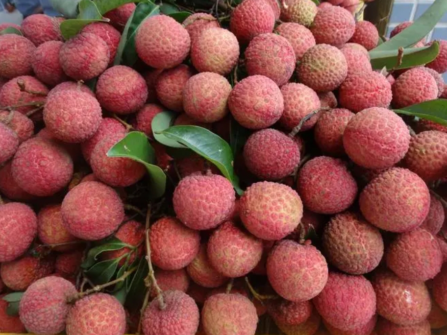 1716002757975019.png 微信截圖_20240518110638.png