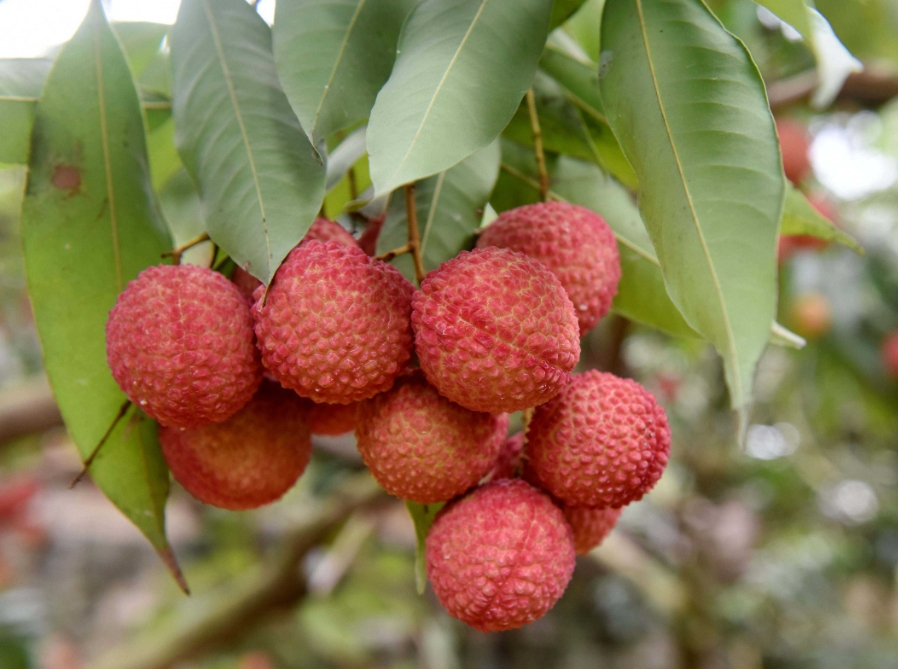 1716002767549947.png 微信截(jié)圖_20240518110604.png