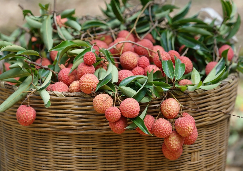 1716002775279762.png 微信(xìn)截圖_20240518110625.png