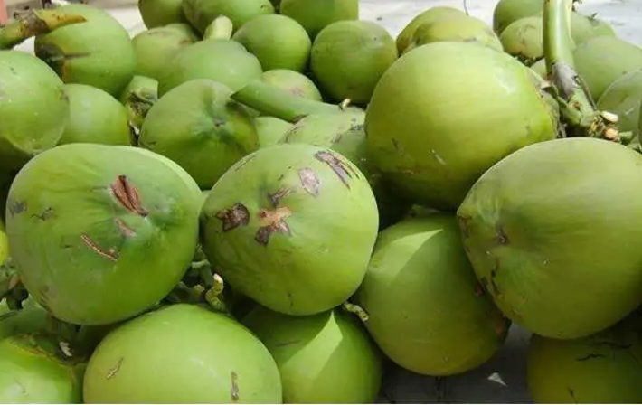 1716188743482189.png 微信截圖_20240518111027.png