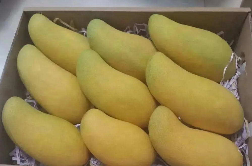 1716359394989458.png 微信截圖_20240522142629.png